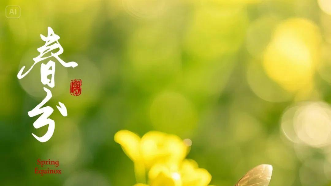 春分时节，诗意江南：四首诗词里的春日温情与人生感悟