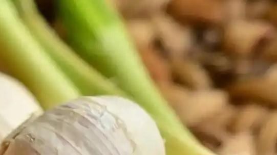 荒漠地区大蒜种植技术，覆沙保墒操作规范，节水灌溉与地窖沙藏案例