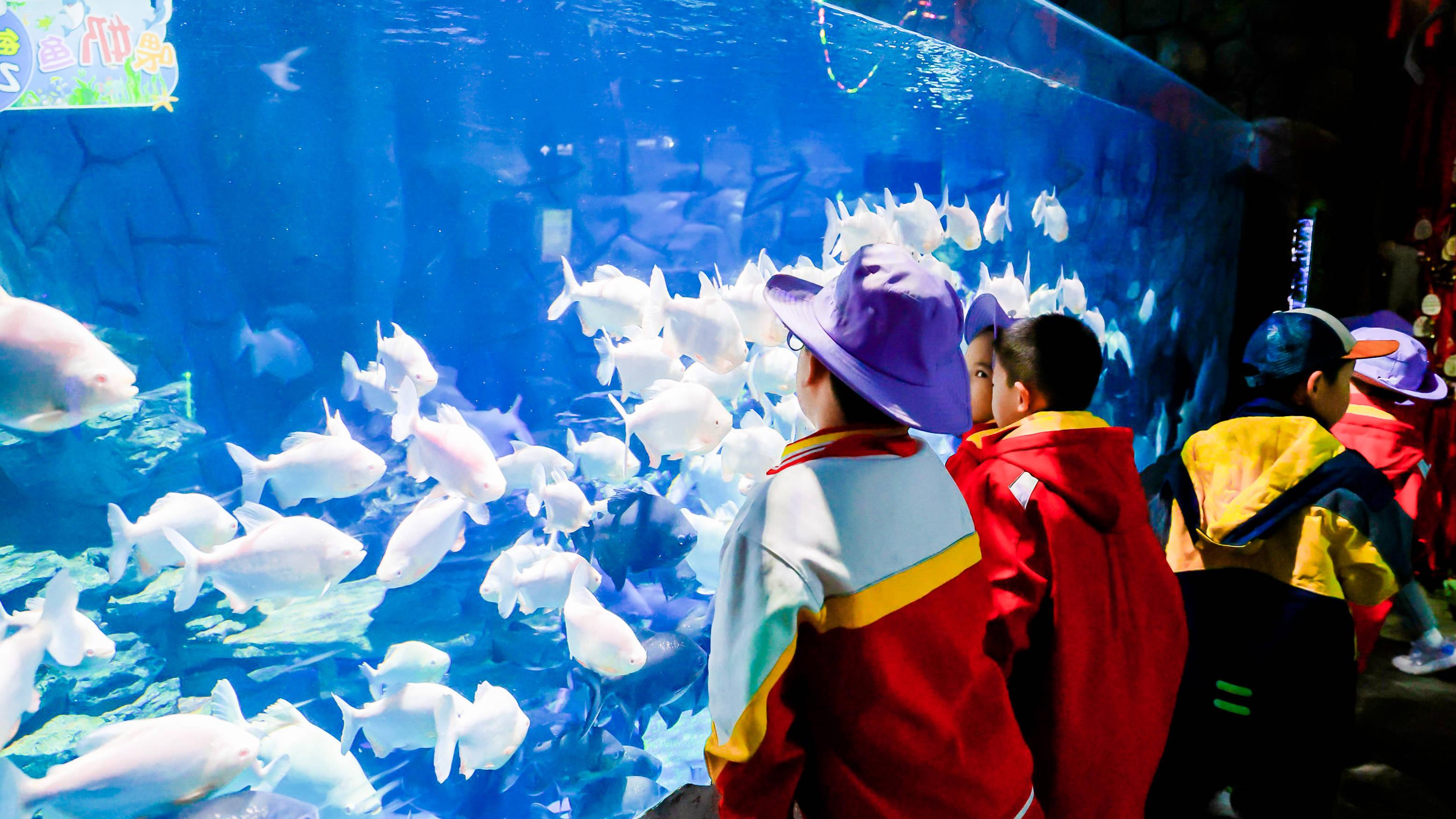 关爱水生动物·共建和谐家园 2025年贵州水生野生动物保护科普宣传月活动启动