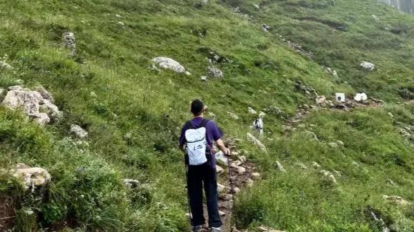 在数字荒漠里种花：6个不玩手机的深度生活提案