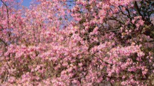 昊铂 GT Lite 版，让你的轿跑自带辨识度​