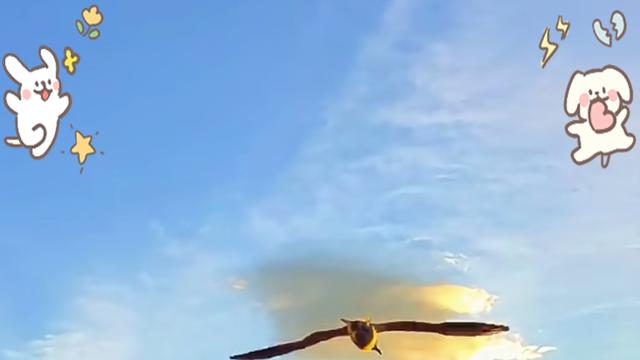 揭秘你的婚姻密码