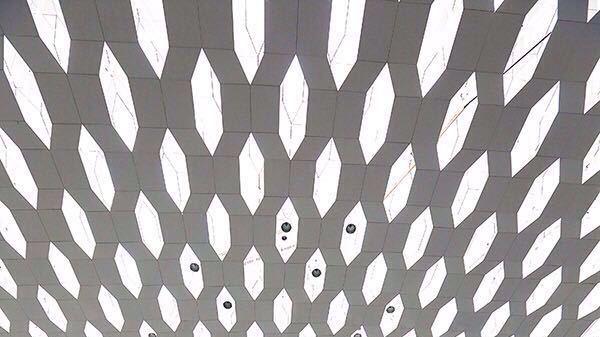 郑智化道歉，但对象不是深圳机场