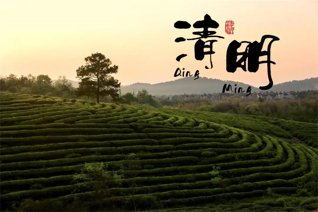 “上坟不带两人，子孙辈辈富有”，清明节将至，牢记老祖宗的话！