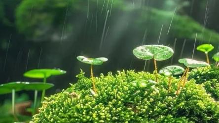 其实最适合你的人，从来不是那个爱而不得的人，而是看透了你的脾气，依然什么都不管，还愿意留下来陪你的人