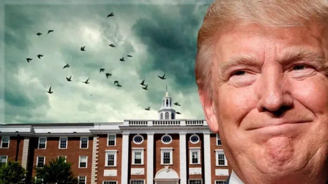 特朗普封杀哈佛留学生！全球顶尖学府VS美政府，谁会赢？