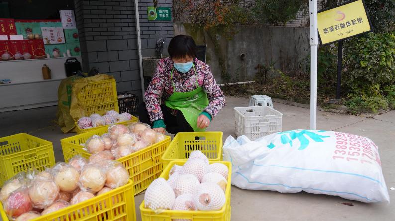 “潼”瞰“十四五” | 发展特色产业 助推乡村振兴