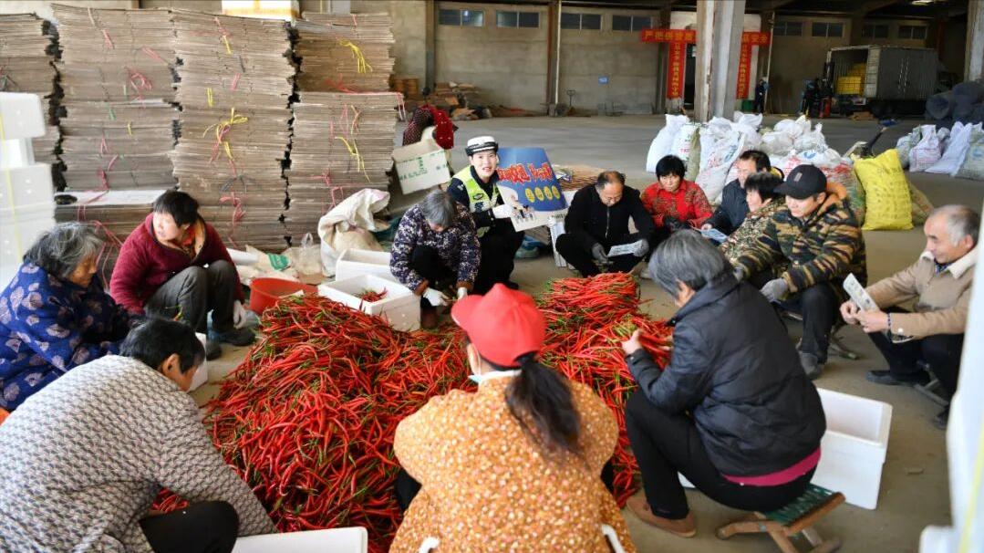 阜阳阜南：“警察蓝”映“辣椒红” 共筑丰收平安路