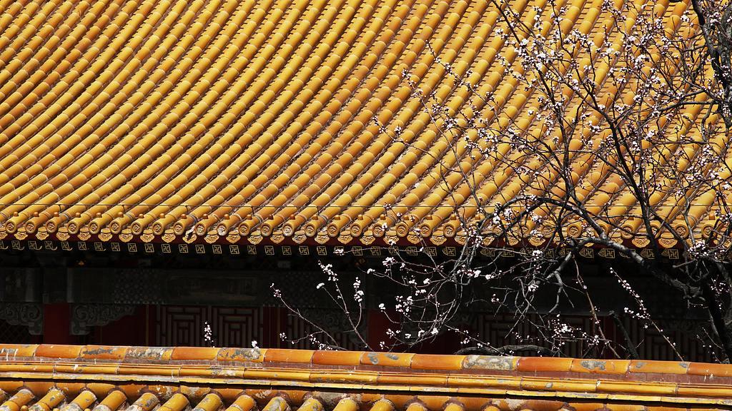 宁福乡君：大明宗室奇女子，敢于硬刚两代辽王，朝廷也拿她没办法