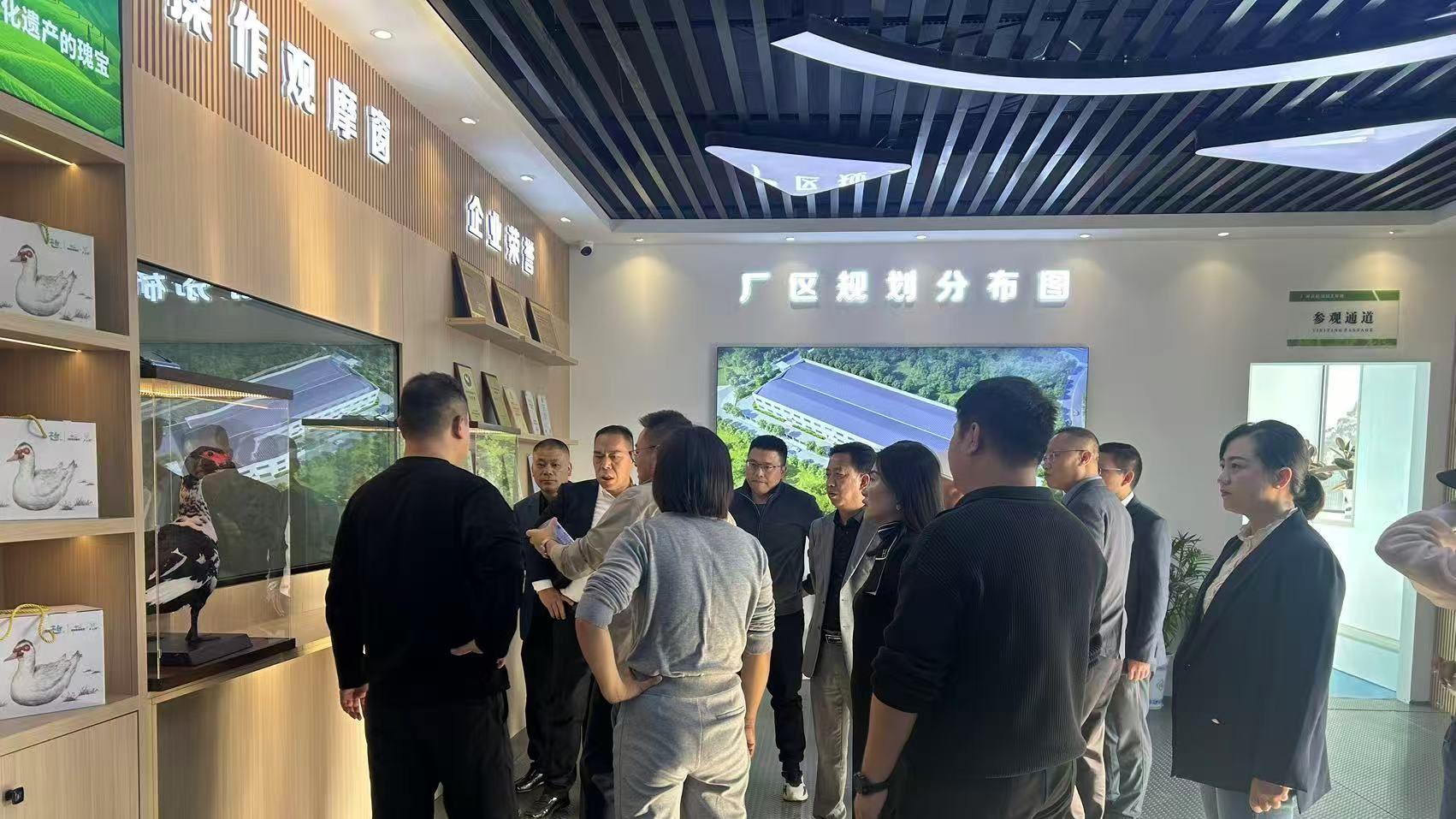 阳新农发集团：一线破题转作风 聚力攻坚开新局