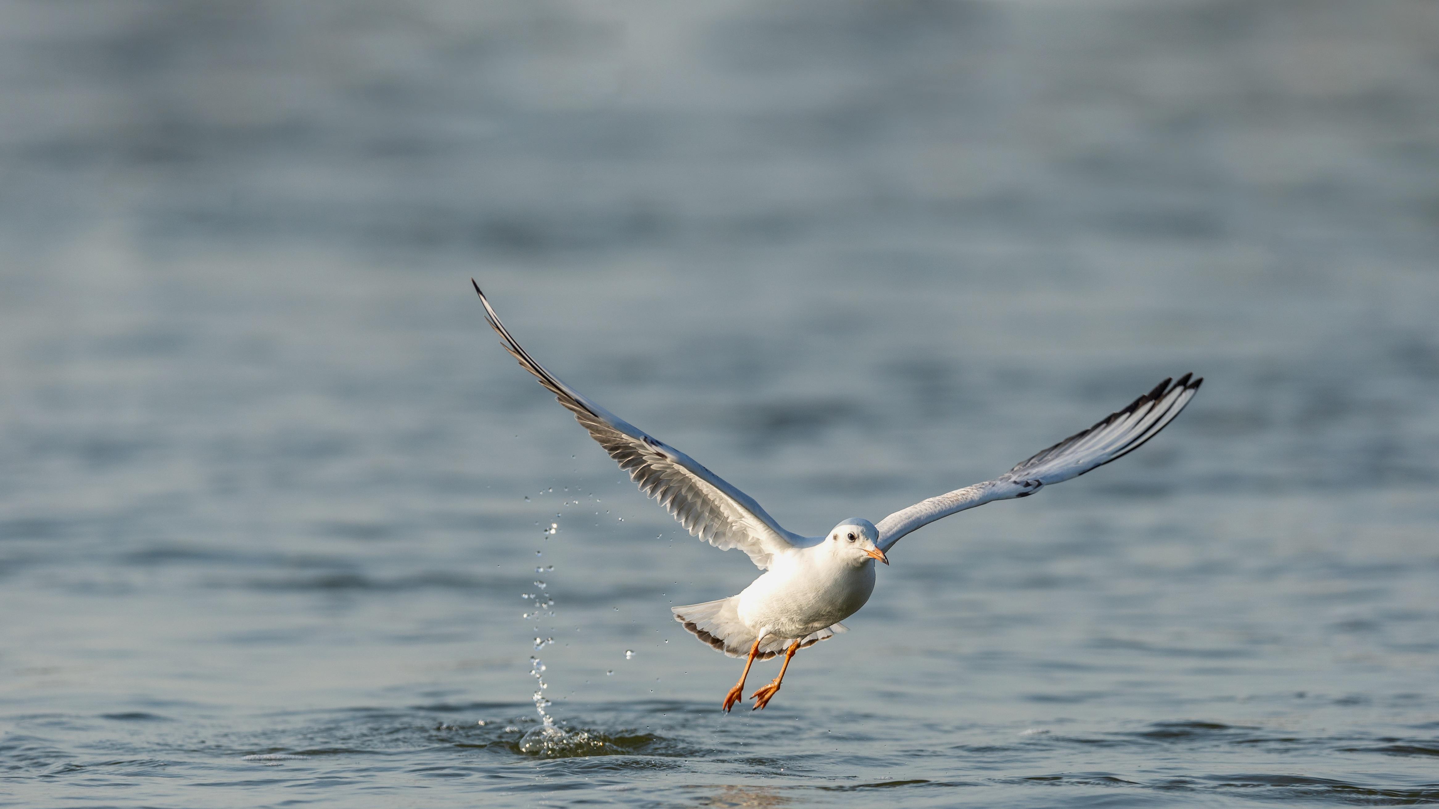 从采购出发，医疗科技公司如何逆风翻盘
