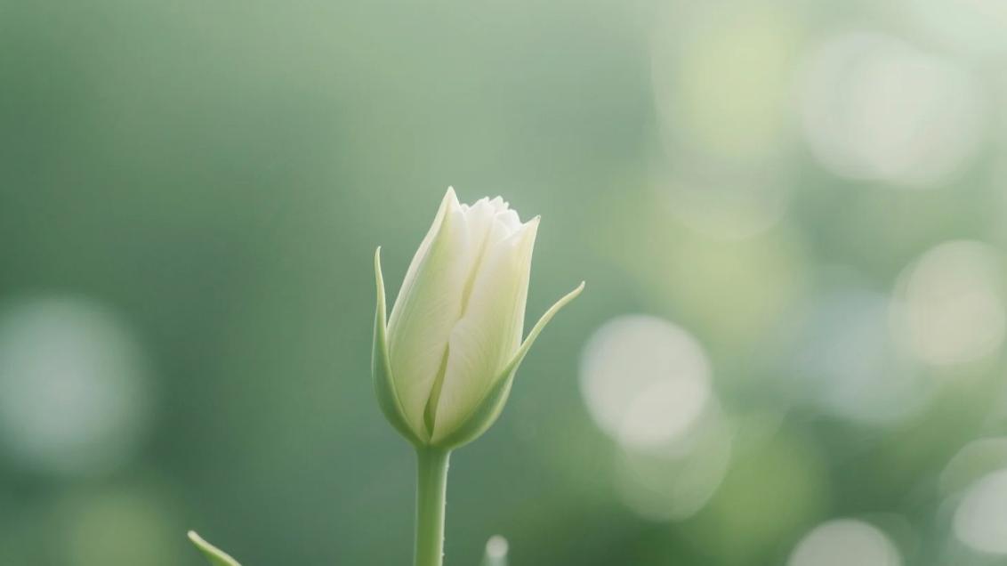 真正成熟的人，都懂得“允许一切发生”