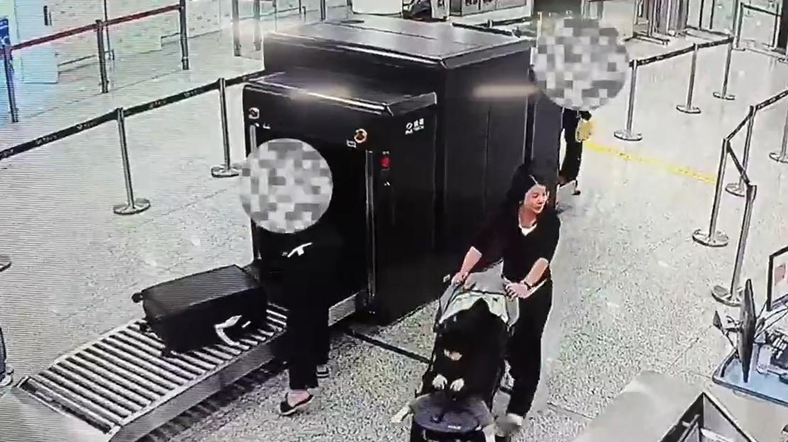 海关律师、走私辩护律师邵丹：查获走私玩偶