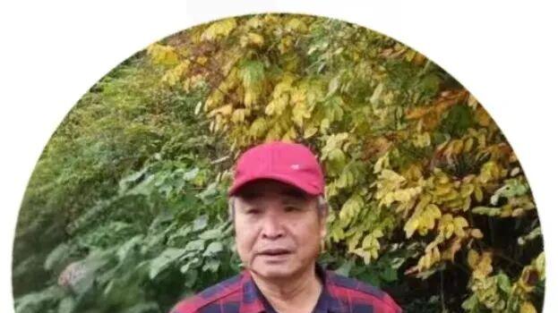 笔墨传情  意韵天成——段善云国画解析