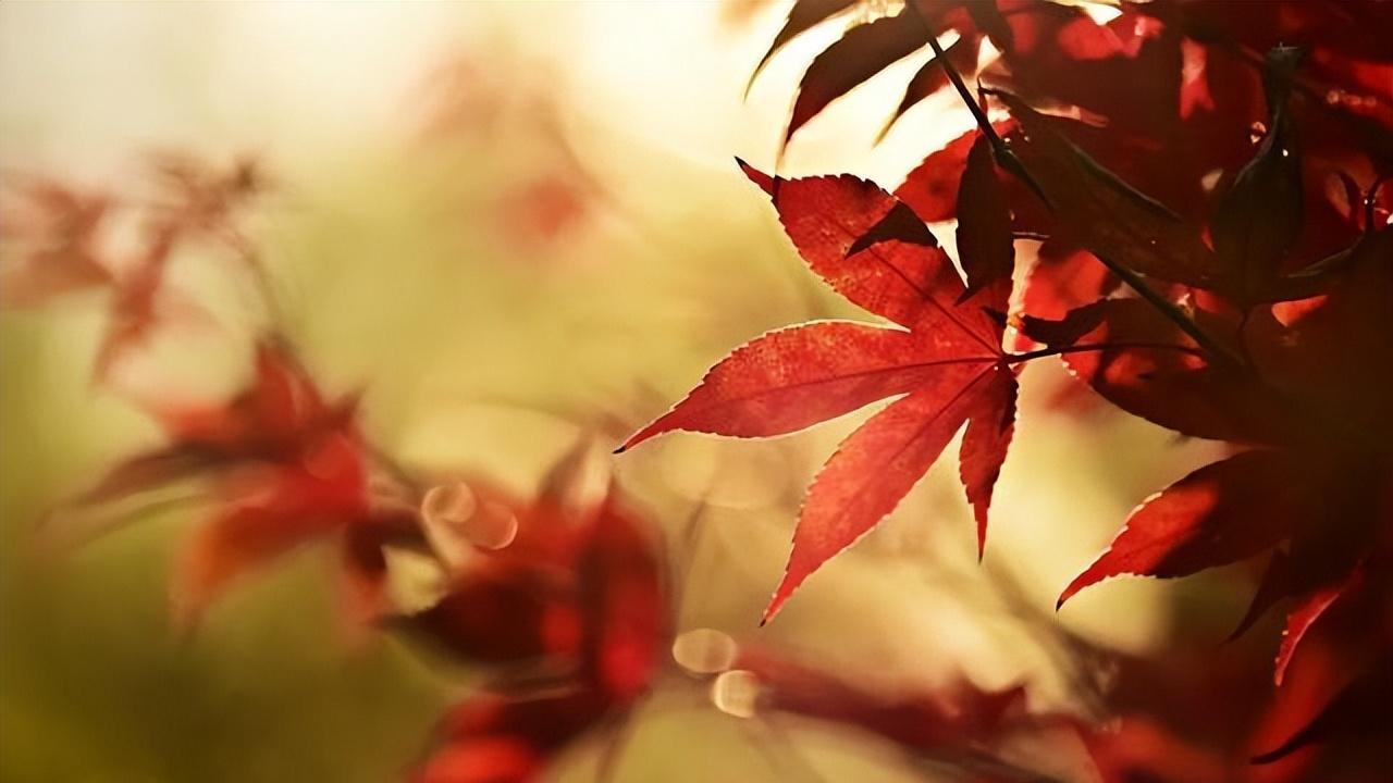 咋回事？有人疏远你，八成是这几个原因！