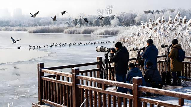 霜染庐州冬韵起，山湖叠翠入诗行 —— 安徽合肥初冬漫游记