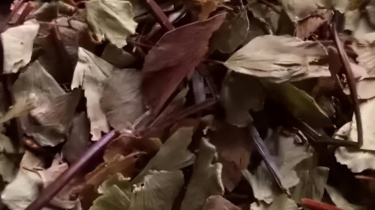 藤蔓间的药用“精灵”——威灵仙