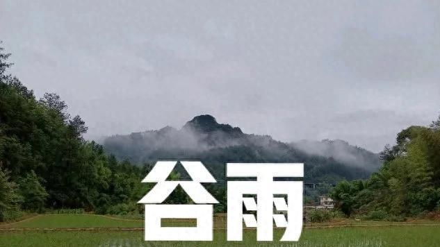 上午谷雨，遍地黄金；下午谷雨，旱断苗根，25年谷雨在哪？