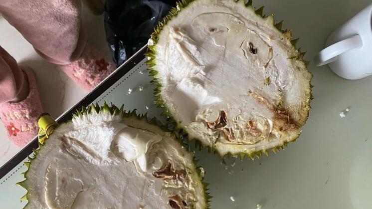 榴莲爱好者的盛宴：你的榴莲季是怎样的体验？