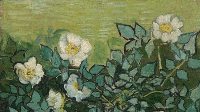 梵高《野玫瑰》与周大生梵高Van Gogh系列：艺术与情感的传承与升华
