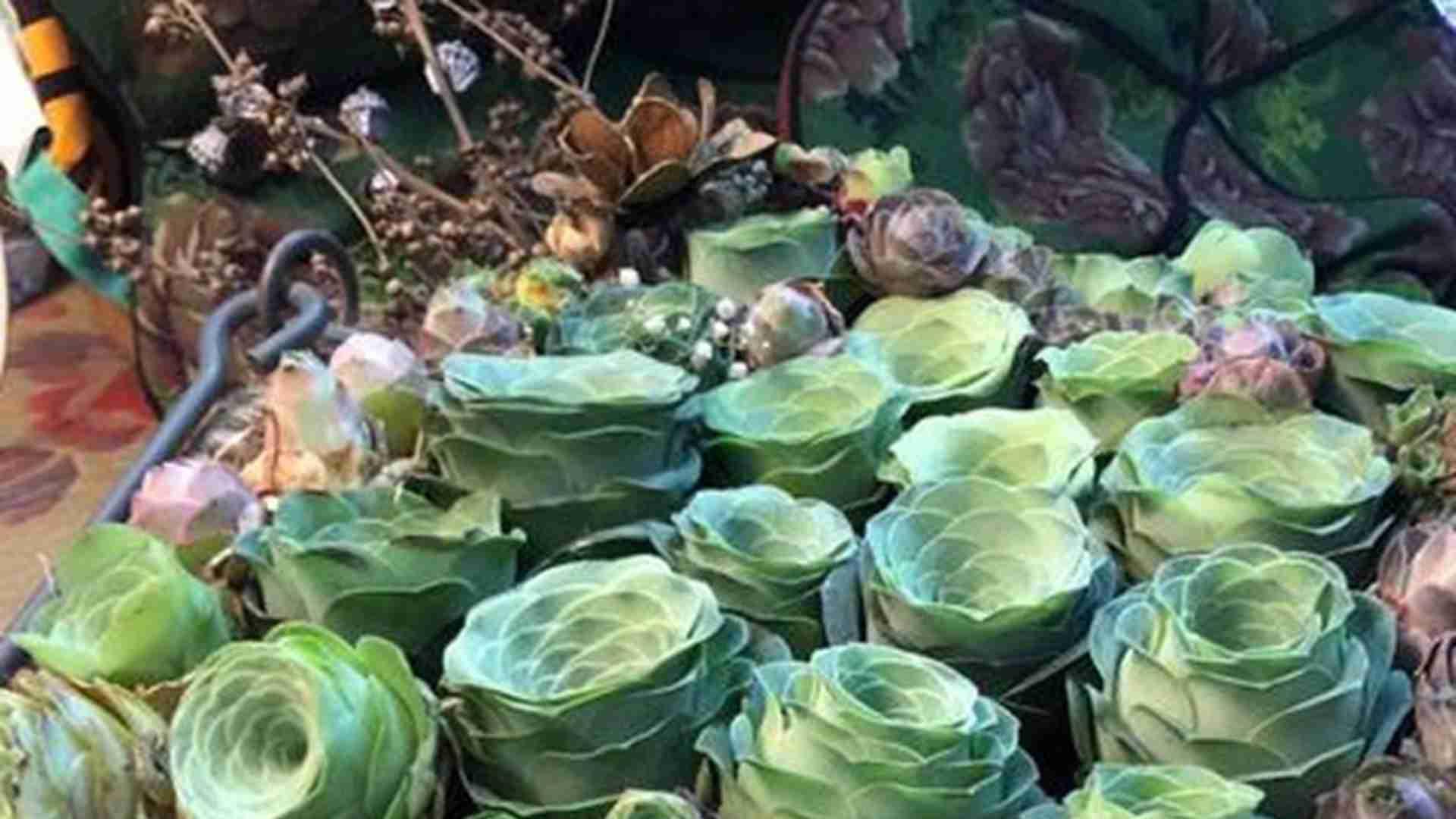 山地玫瑰经济分析，半年产值提升，创业故事纪实，防脱水要点