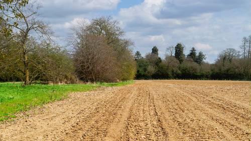 花300块买肥，90%打水漂？你根本不知道肥料是怎么“死”在地里的