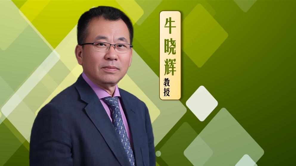 突破传统手术局限！牛晓辉谈腱鞘巨细胞瘤靶向治疗新突破