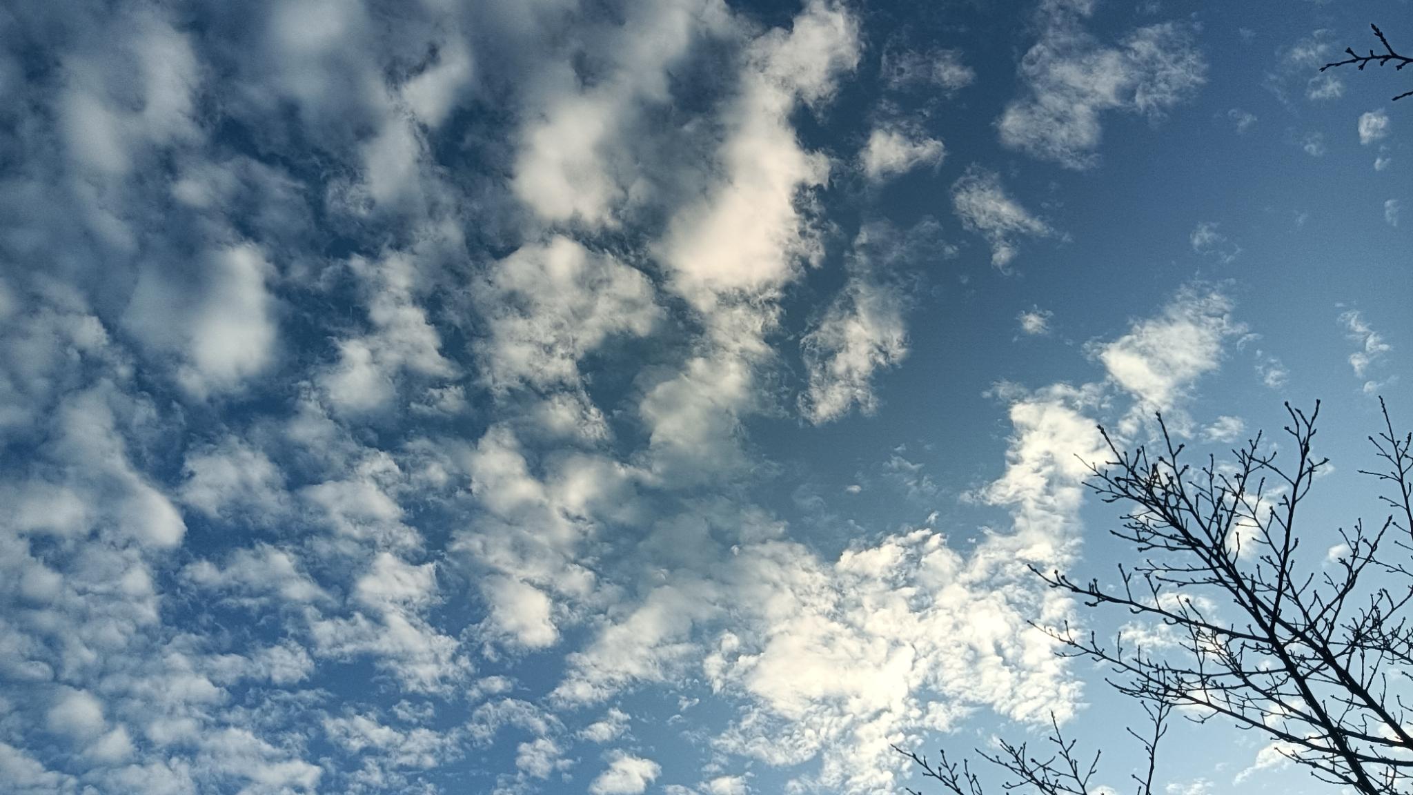 奖励性绩效工资连分配方案都没有？这种“隐私”成真正“倾斜”了