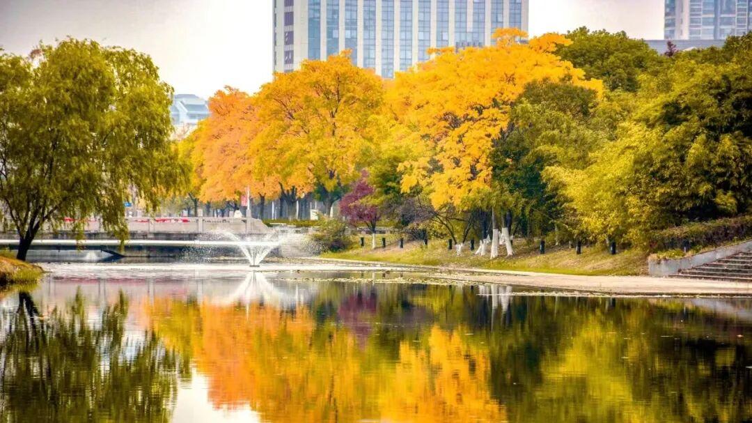 江南大学专业强不强？不止是“老手艺”，更是新赛道！