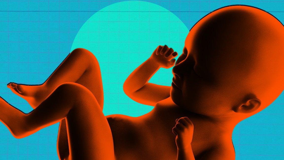 初创公司秘密致力于对人类婴儿进行基因黑客攻击