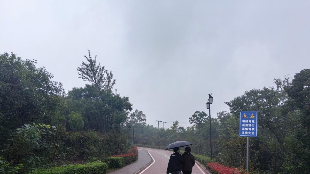 秋雨漫步：寻觅千年外的私语情怀