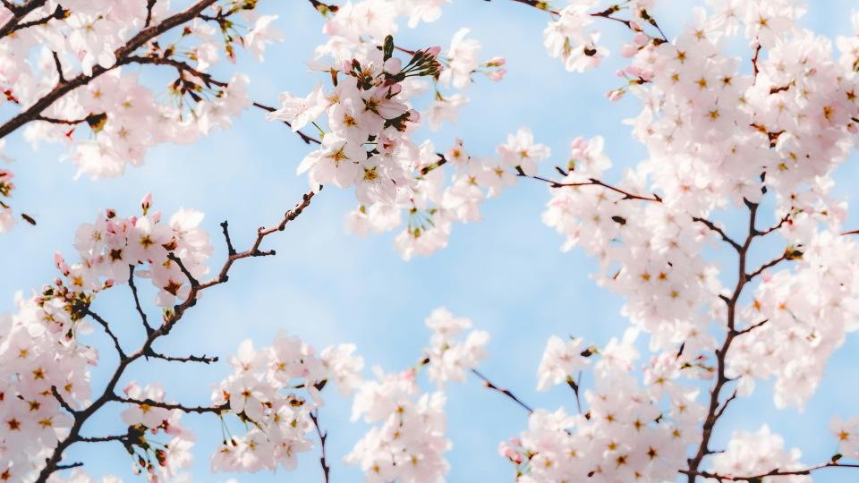 150万拆迁款，婆婆都给我们，我和老公商量之后，给姑姐转去了50万