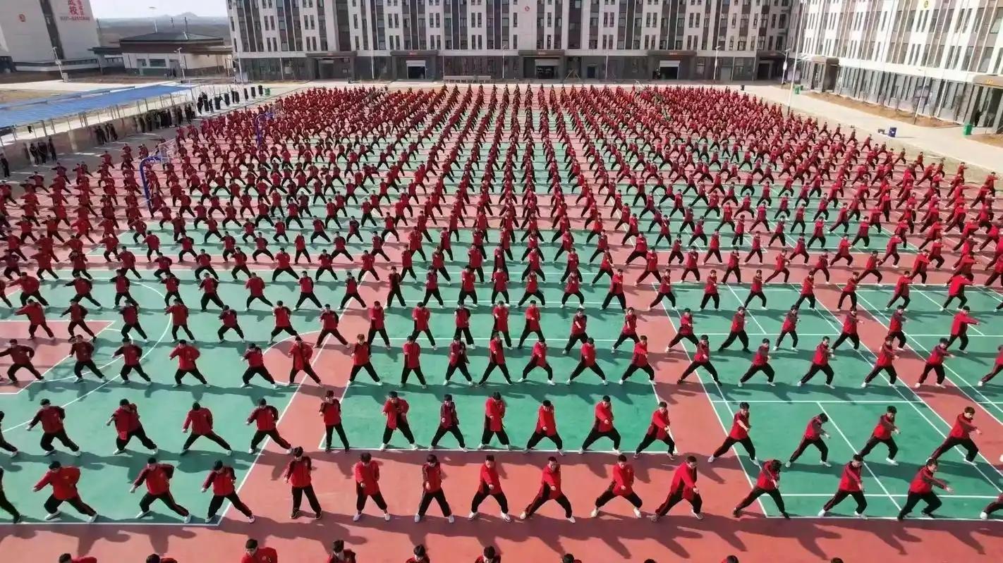 大学，或许不是普通孩子的最优解