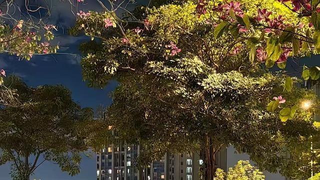 日产全新中大型SUV亮相街头，造型出众，五座大空间，支持5C超快充