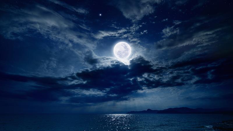 这不仅是一个打工仔的一生，也是大多数普通人的一生！