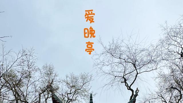 长沙深度游，橘子洲头漫步赏景，岳麓山下探访千年书院
