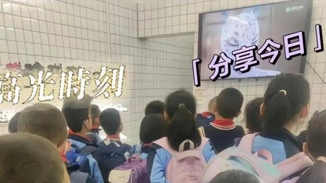 “我妈来了我就吃不成了”肥娟小吃单日营业额1117元，老板娘回应