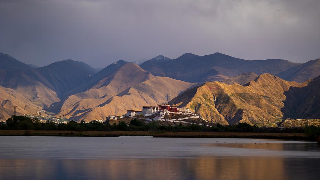 32岁儿子不愿回家过年，我没忍住就跟亲戚朋哭诉，他打电话来怒骂骂我一顿，我真是苦说不出！