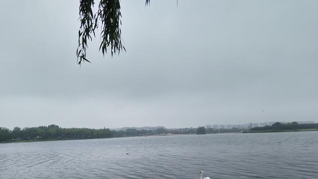 孩子躺平大半年毫无改变，家长需狠心逼自己一把，才能回归内驱力