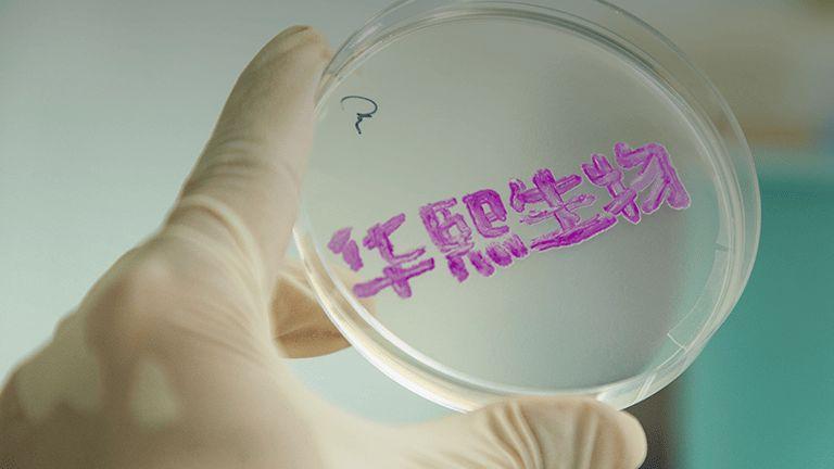 华熙生物二季度业绩同比正增长：赵燕掌舵下的逆势突围与未来蓝图