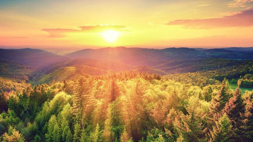 老公刚发了年终奖金，婆婆就领着小叔子前来要钱，我刚要说话，老公转身拿出一张字条，婆婆看后领着小叔子就