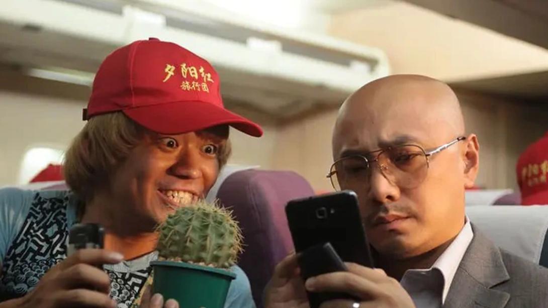 从少林寺到金扫帚奖，王宝强如何用