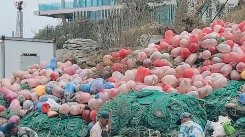 非比寻常影视发行精品微短剧《我的海蛎子男友》全网热播中：北上广不相信眼泪，让故乡拥抱你