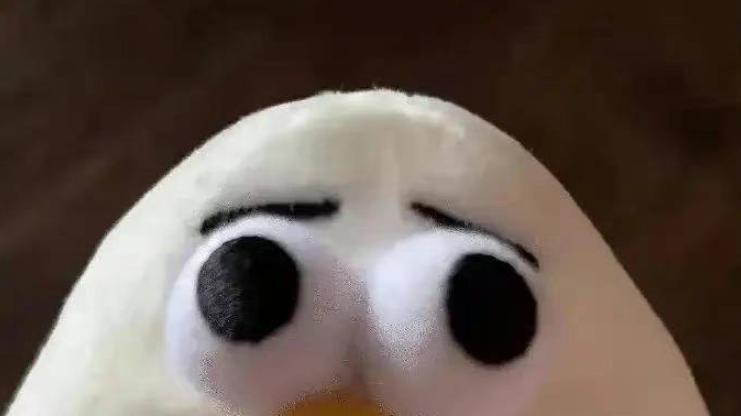十年《率土之滨》凭啥又翻红？网易财报都点名表扬了！