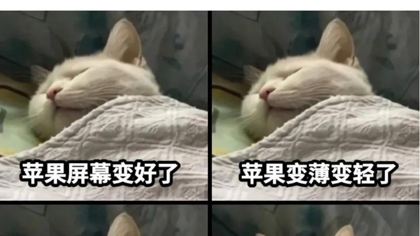 听说iPhone17和淘宝出联名款了？苹果“指定橙”