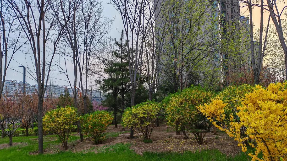 一切尽意，百事从欢