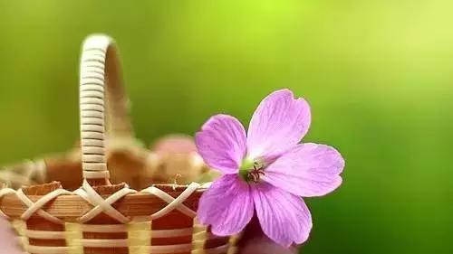 财富、地位、爱情……人生最宝贵的东西到底是什么？你知道吗？