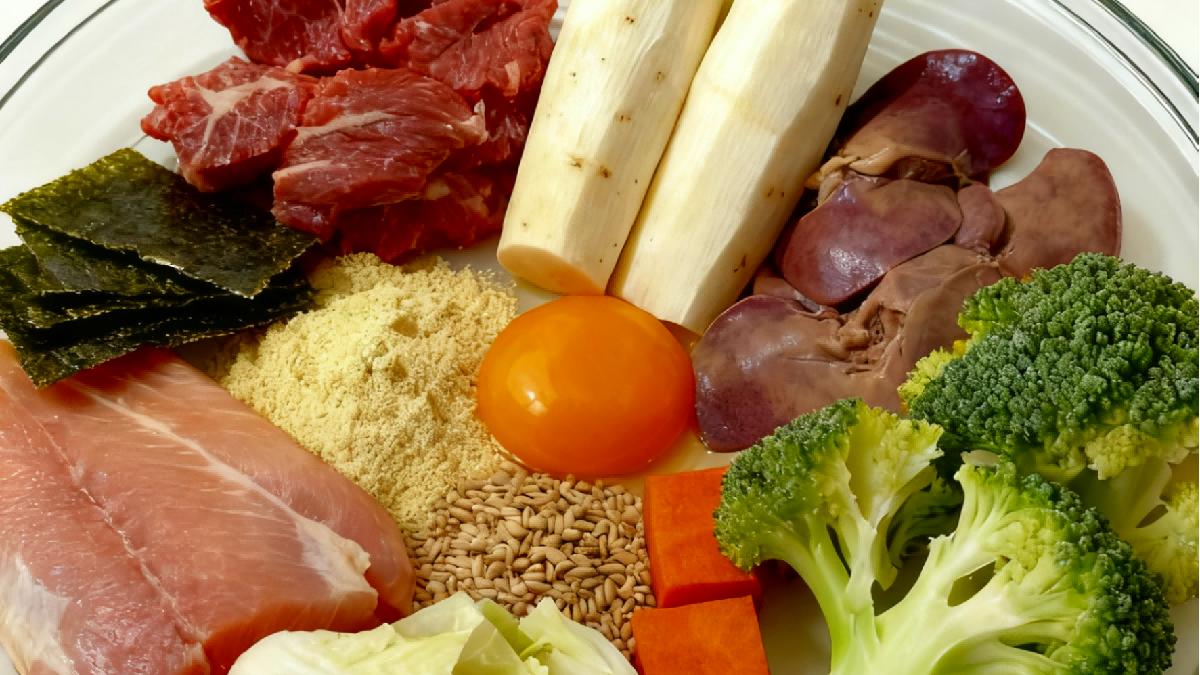 高蛋白自制猫饭食谱！自制猫饭配方比例表包掌握自制猫饭科学配比