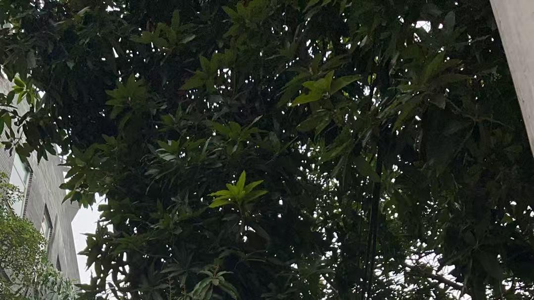 很多你以为高大上的人，连5000块都掏不出来