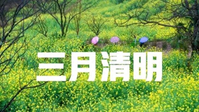 4号清明，“二月清明雨不愁，三月清明坟头起”，今年几月清明？